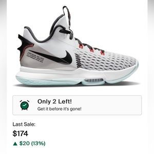 Nike Lebron Witness 5